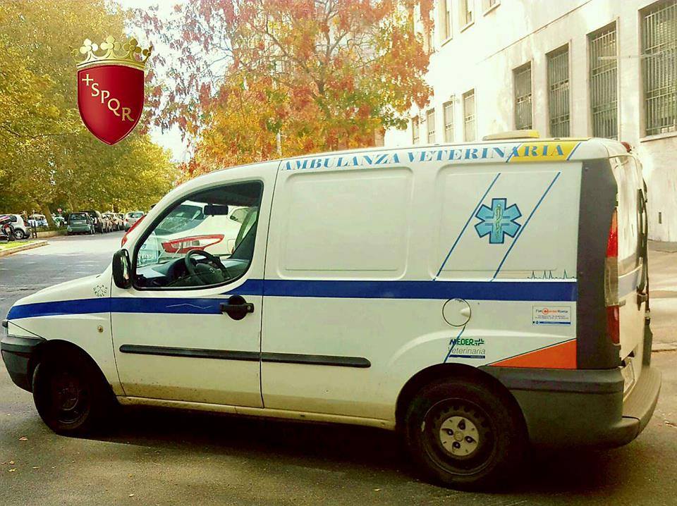 ambulanza vet 22279945_872006532949488_1037443704715884036_n - copia